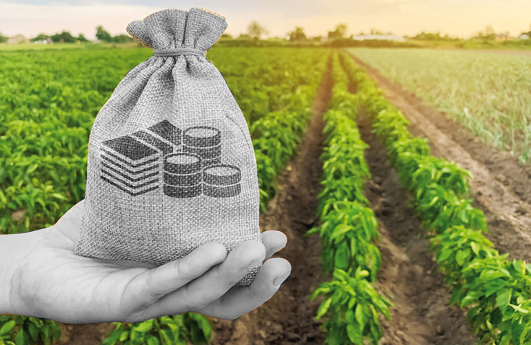 Indústrias que produzem agrotóxico envenenam o país e ainda recebem R$ 10 bilhões por ano em isenções de impostos