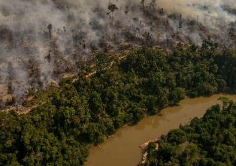 Inpe e Ipam denunciam desmatamento acelerado da Amazônia sob o governo de Bolsonaro