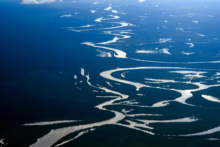 Cúpula da Amazônia: 19 bancos prometem investimentos de R$ 4,5 bi em crédito verde