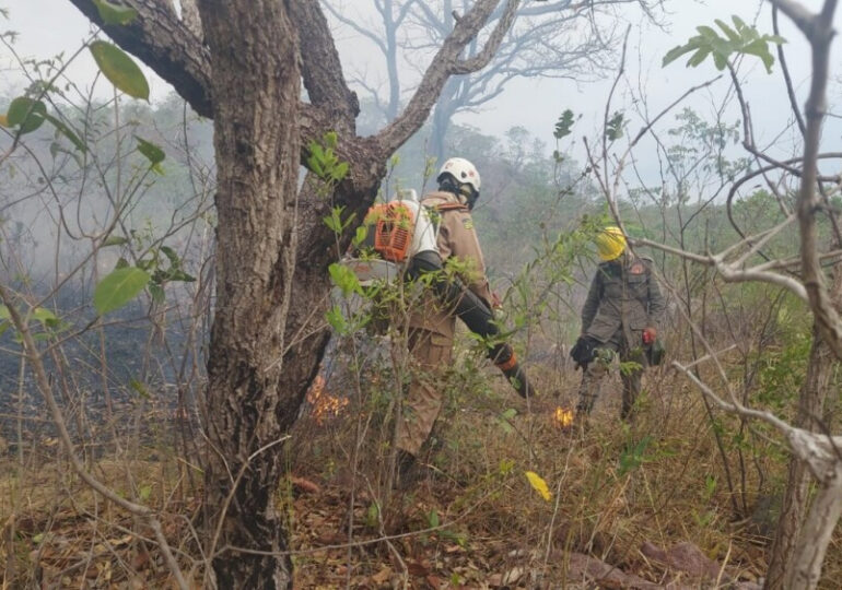 Operação Cerrado Vivo combate incêndio na APA do Encantado em Baliza, na nascente do Rio Araguaia em Goiás