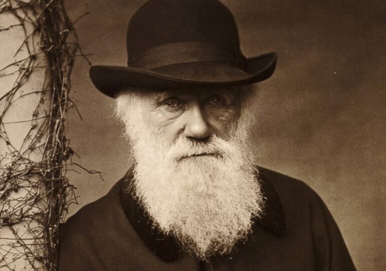 A miséria de Darwin e o poder do desejo coletivo