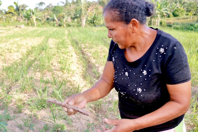 Oprimidos pela mineração, camponeses lamentam: ‘dói viver sem água em pleno Pará’