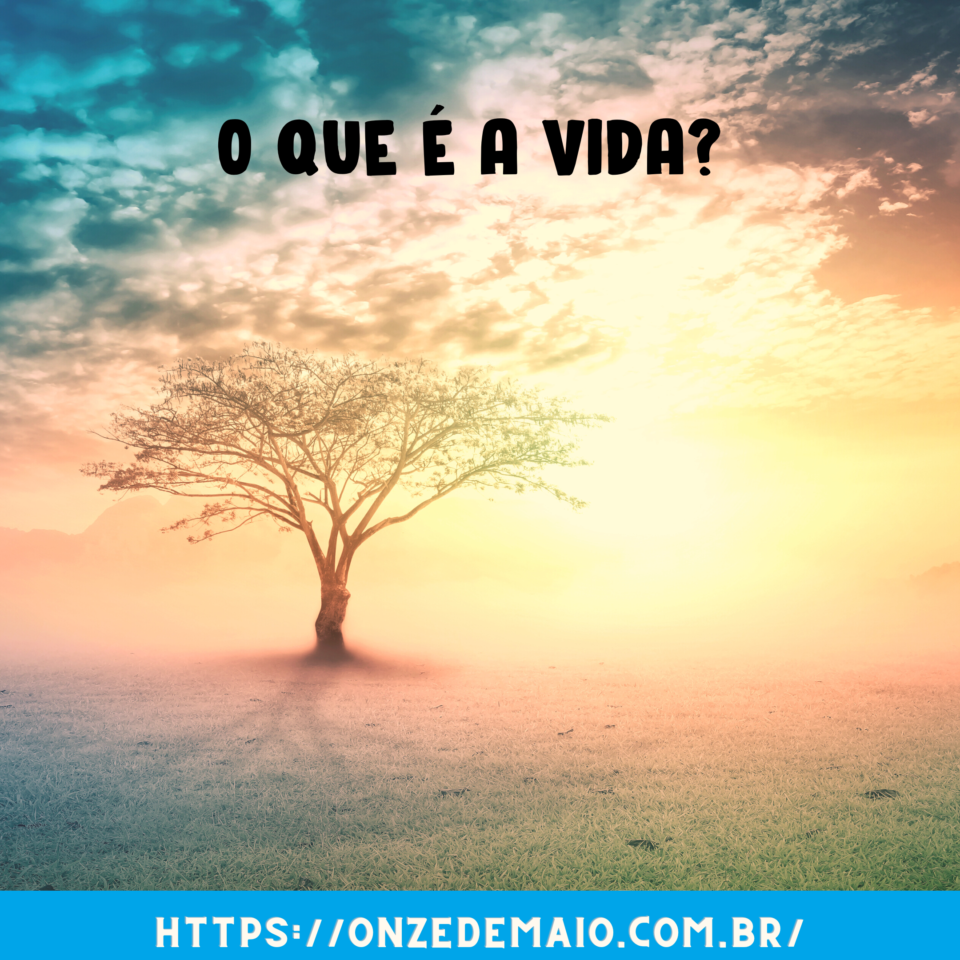 André Soares: o que é a vida? - Jornal Onze de Maio