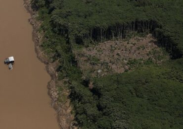 Agrossuicídio: desmatamento na Amazônia já afeta plantio duplo de soja e milho