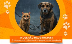 OAB lança campanha contra maus-tratos de animais 1 IMG 20260331 WA0044.jpg