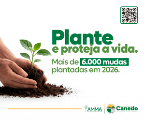 Senador Canedo